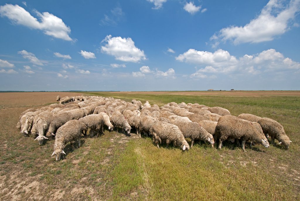IMAGE: Growing Beginning Farmers and Ranchers in Wyoming social media post