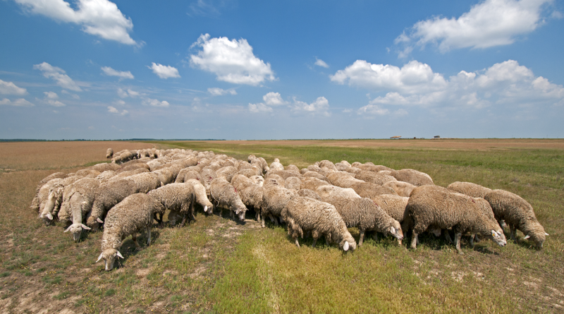 IMAGE: Growing Beginning Farmers and Ranchers in Wyoming social media post