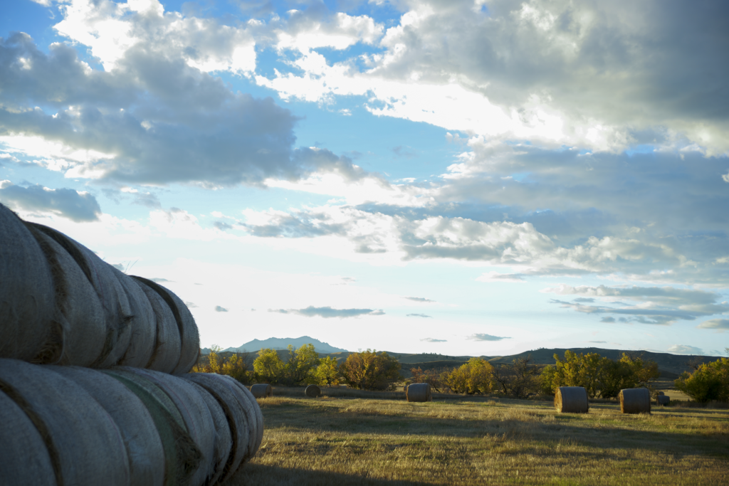 IMAGE: Growing Beginning Farmers and Ranchers in Wyoming social media post