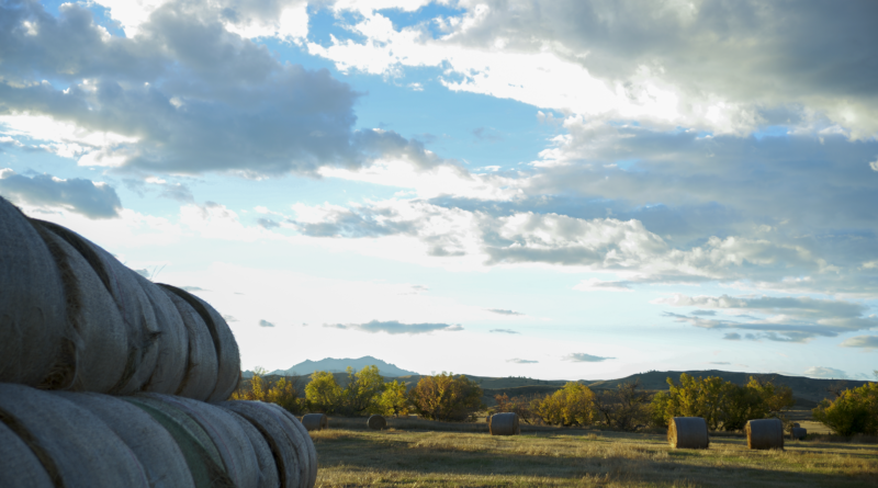 IMAGE: Growing Beginning Farmers and Ranchers in Wyoming social media post