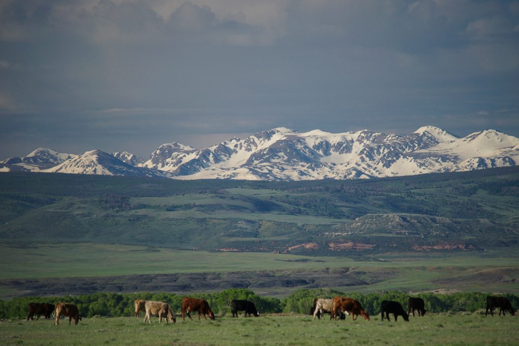 IMAGE: Growing Beginning Farmers and Ranchers in Wyoming social media post