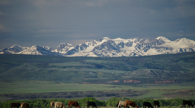 IMAGE: Growing Beginning Farmers and Ranchers in Wyoming social media post