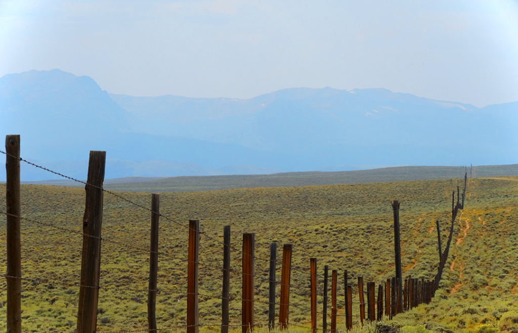 IMAGE: Growing Beginning Farmers and Ranchers in Wyoming social media post
