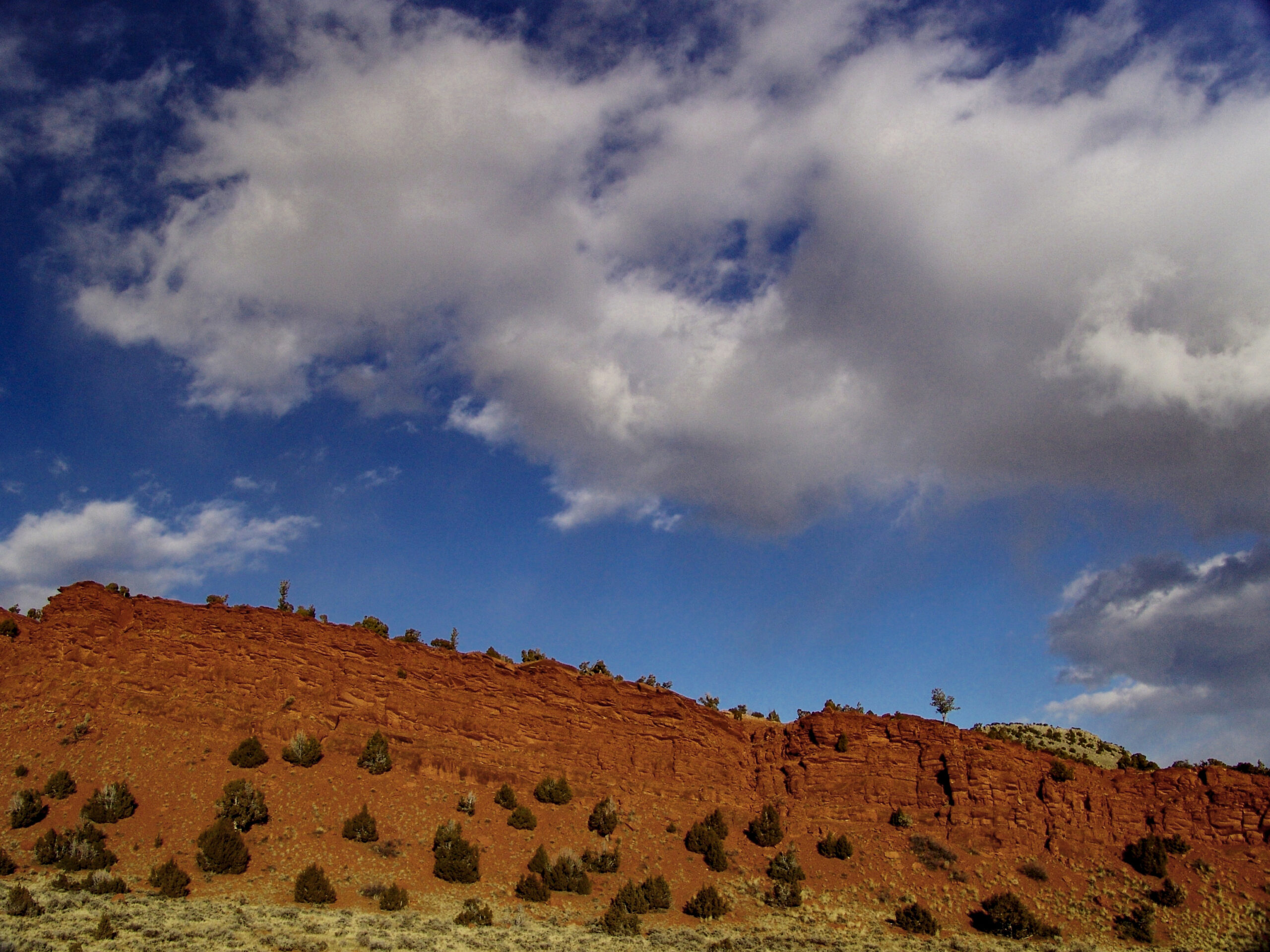 IMAGE: Growing Beginning Farmers and Ranchers in Wyoming social media post