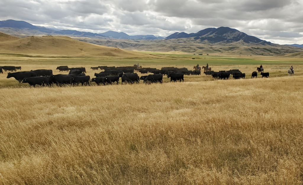 IMAGE: Growing Beginning Farmers and Ranchers in Wyoming social media post