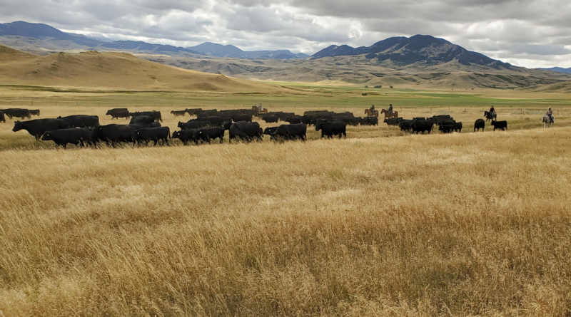 IMAGE: Growing Beginning Farmers and Ranchers in Wyoming social media post