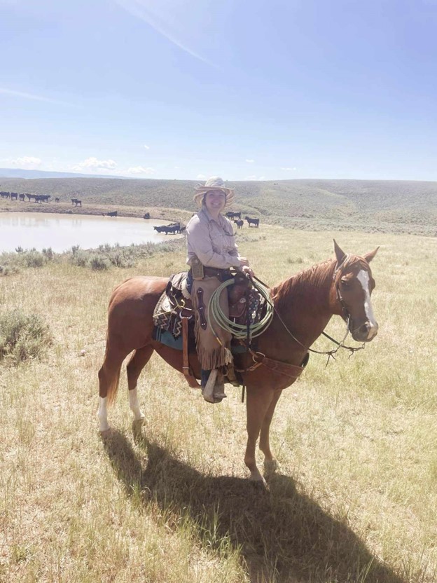 Trailin’ Cattle