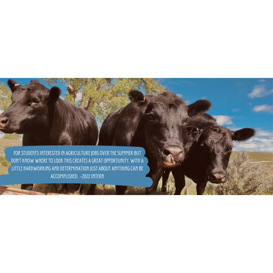 Quote by GrowinG Intern via image