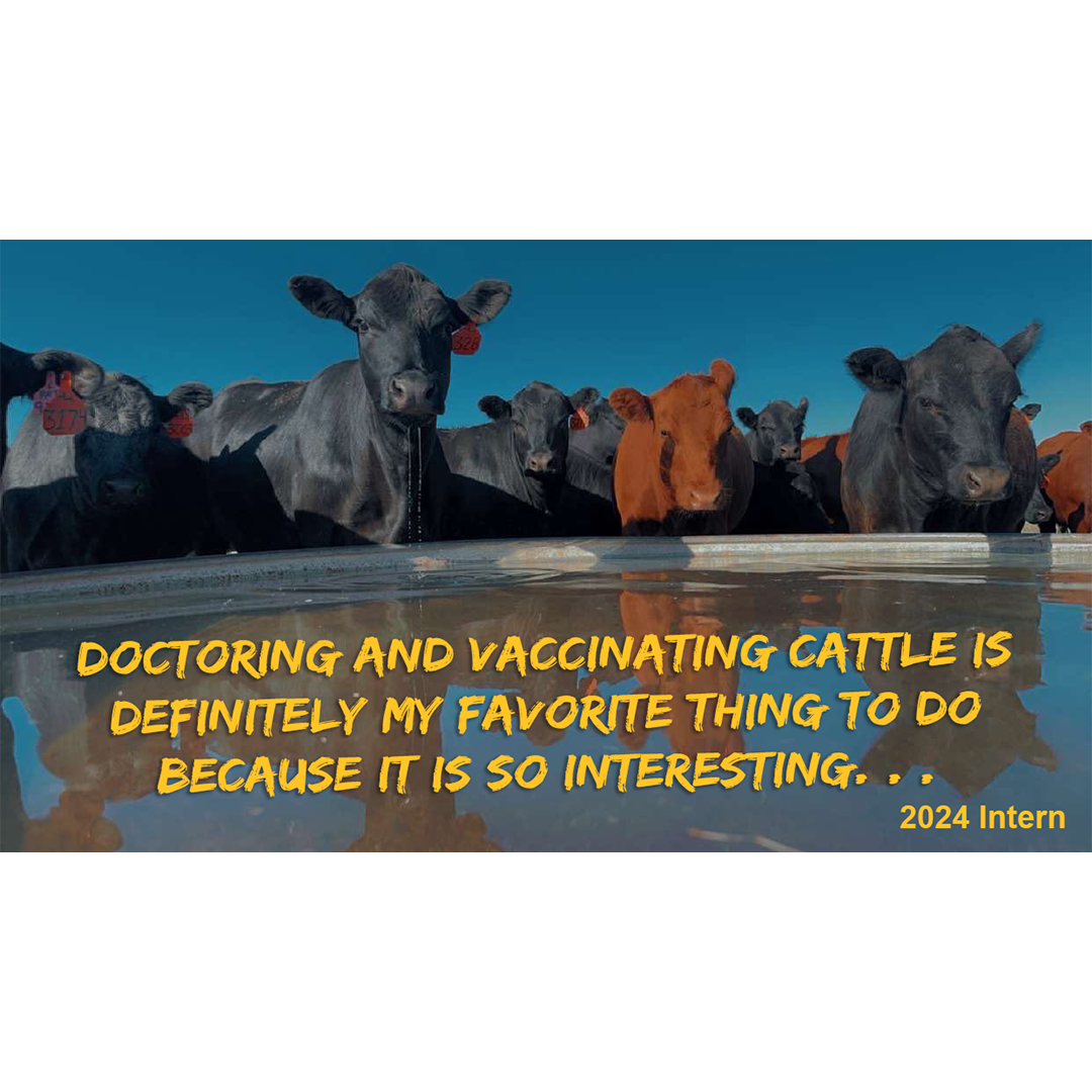 Quote by GrowinG Intern via image