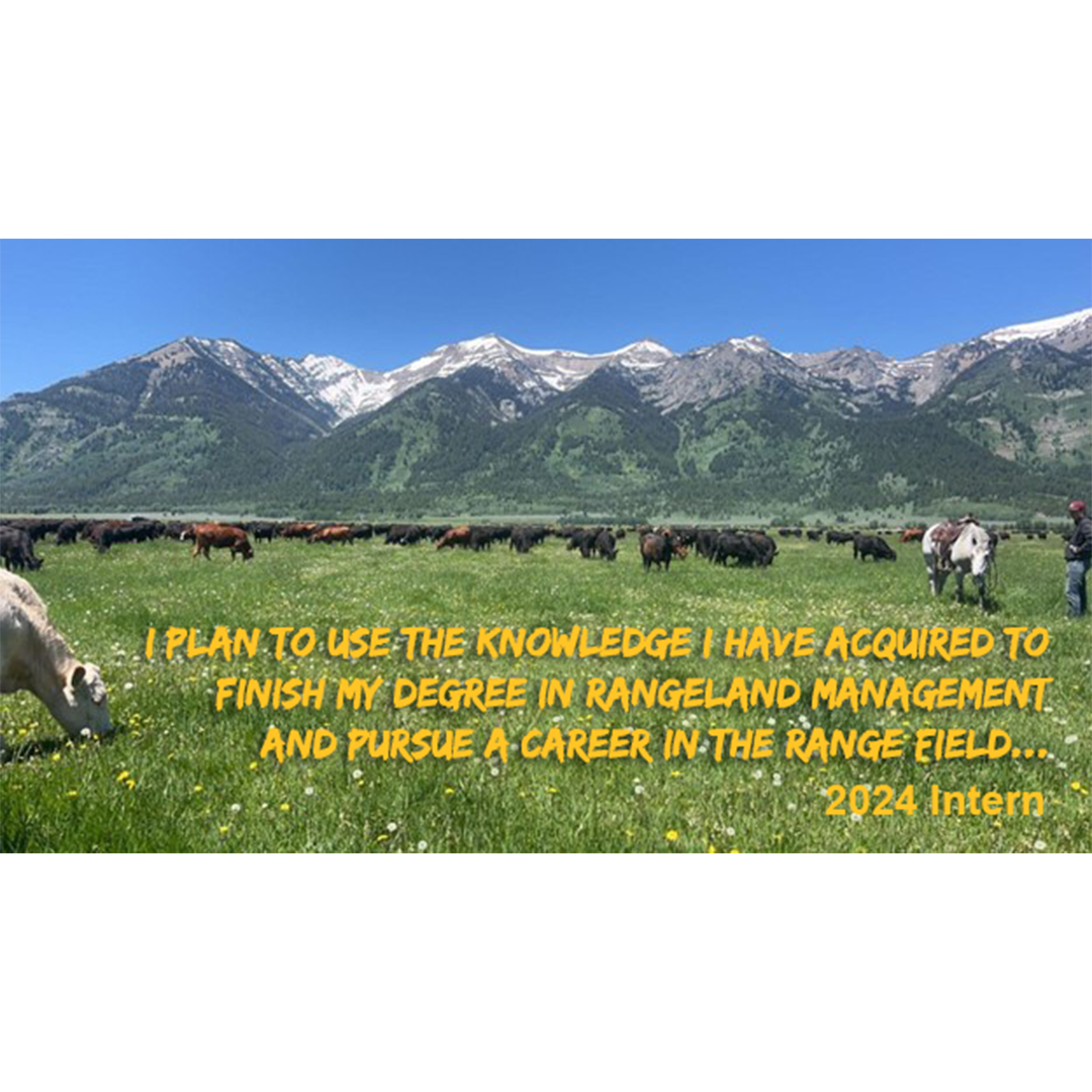 Quote by GrowinG Intern via image