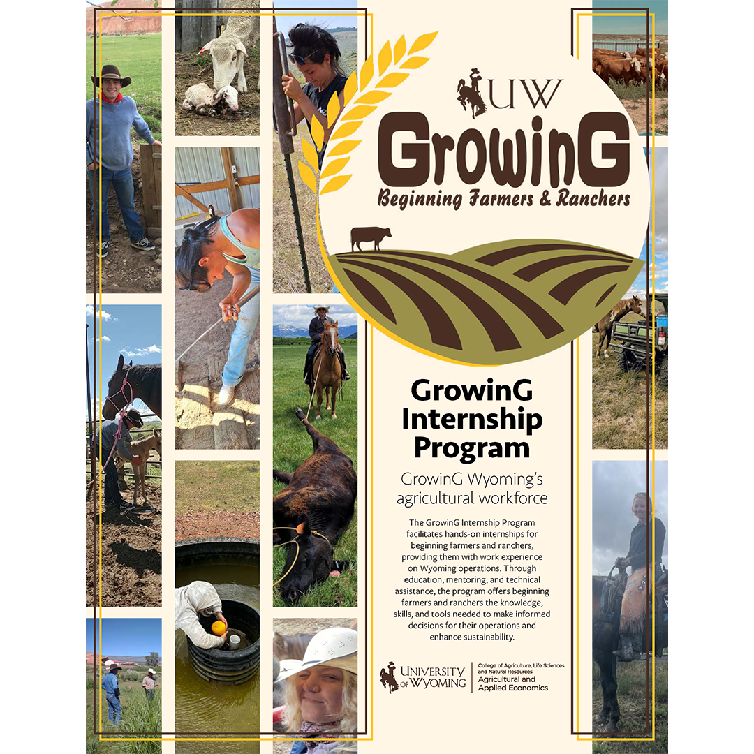 GrowinG Intern Spotlight image