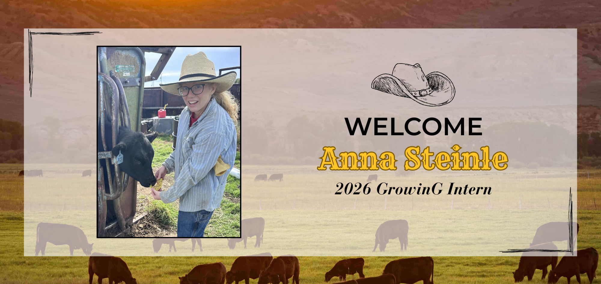 2026 Intern – Anna