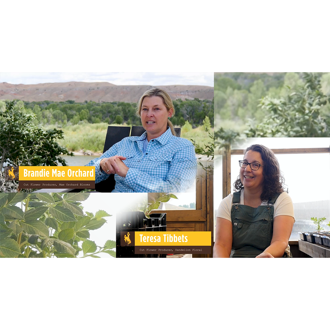 GrowinG Host Video Spotlight image