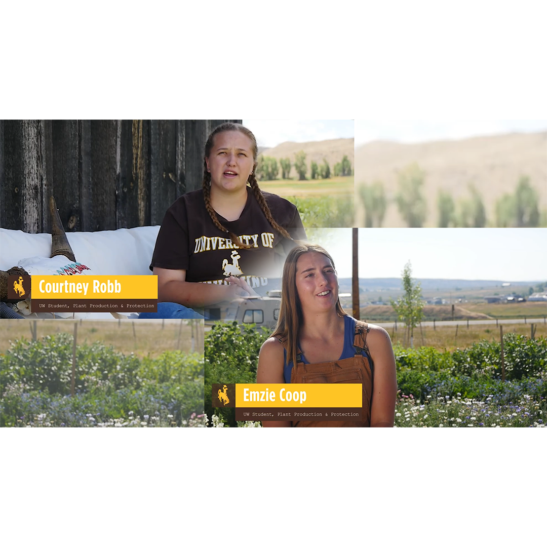 GrowinG Intern Video Spotlight image