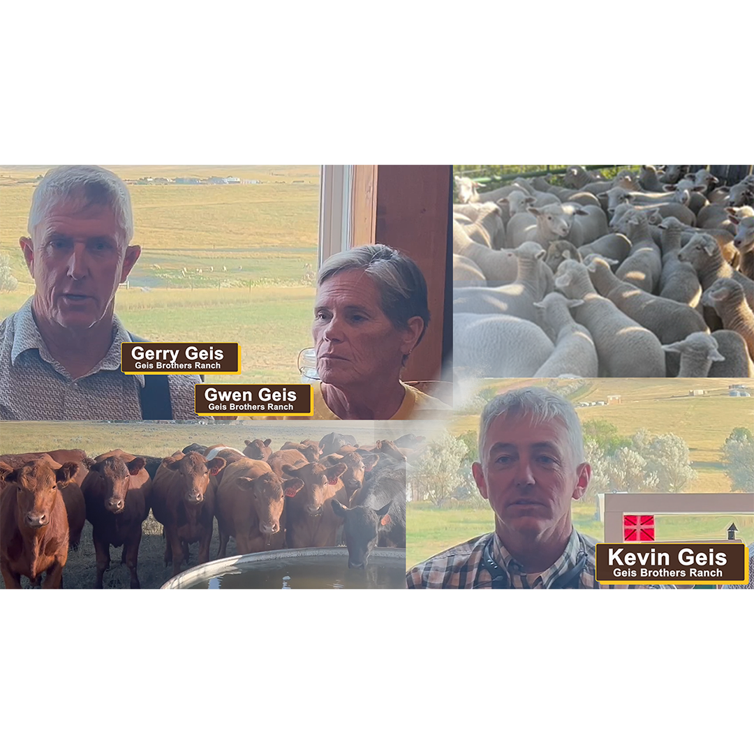 GrowinG Host Video Spotlight image