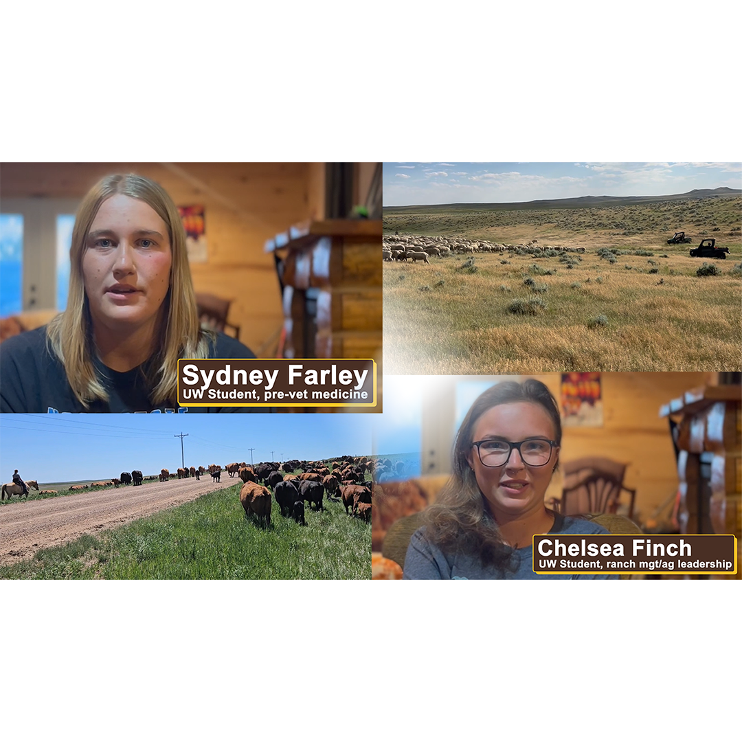 GrowinG Intern Video Spotlight image